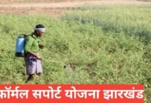 Farmer Support Yojana Jharkhand 2026 : झारखंड किसान सहायता योजना की पूरी जानकारी हिंदी में Farmer Support Yojana Jharkhand