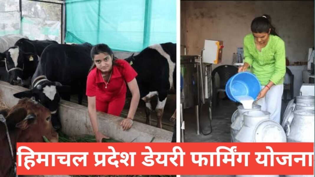 Himachal Pradesh Dairy Farming Yojana