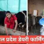 Himachal Pradesh Dairy Farming Yojana